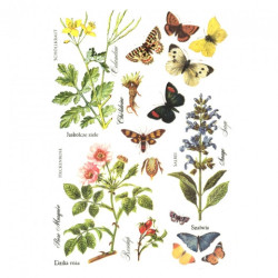 Papier ryżowy do decoupage kwiaty motyle A4 ITD R405 - sklep plastyczn