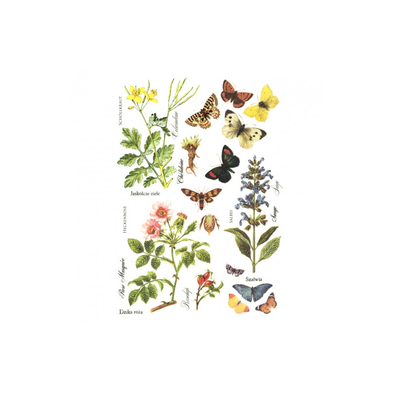 Papier ryżowy do decoupage kwiaty motyle A4 ITD R405 - sklep plastyczn