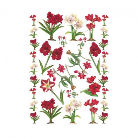 Amaryllis decoupage paper 50 x 70cm