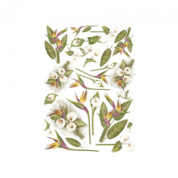 Papier do decoupage arum i sterlizia 50 x 70cm - sklep plastyczny - sz