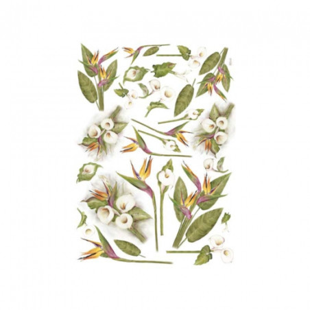 Papier do decoupage arum i sterlizia 50 x 70cm - sklep plastyczny - sz