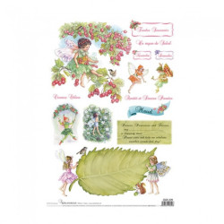 Calambour rice paper DGR 209 32x45cm