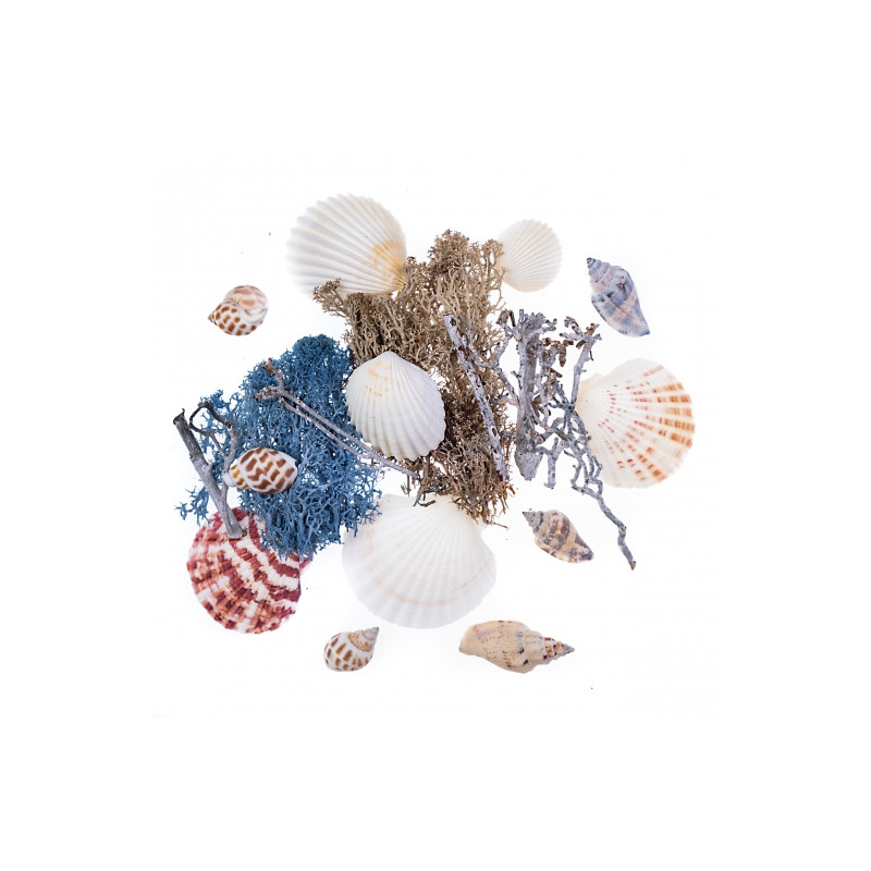DP Craft natural sea elements mix 75g
