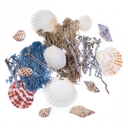 DP Craft natural sea elements mix 75g