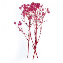 DP Craft Pink Gypsum 4 pcs