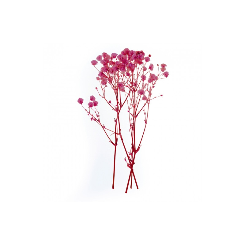 DP Craft Pink Gypsum 4 pcs