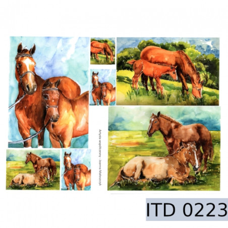Papier do decoupage konie 996-0223/A3 - sklep plastyczny - szał dla pl
