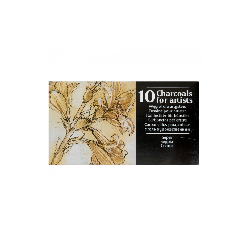 Renesans drawing charcoal in sepia bars 10 pieces