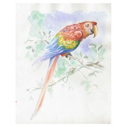 Clairefontaine animals watercolor block with a ready sketch 30x40cm 30