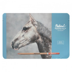 Renesans natural set of 48 artistic crayons in a metal case