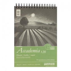 Block Gamma accademia 120g spiral