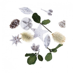 DP Craft dried decorative fruits and flowers 20g