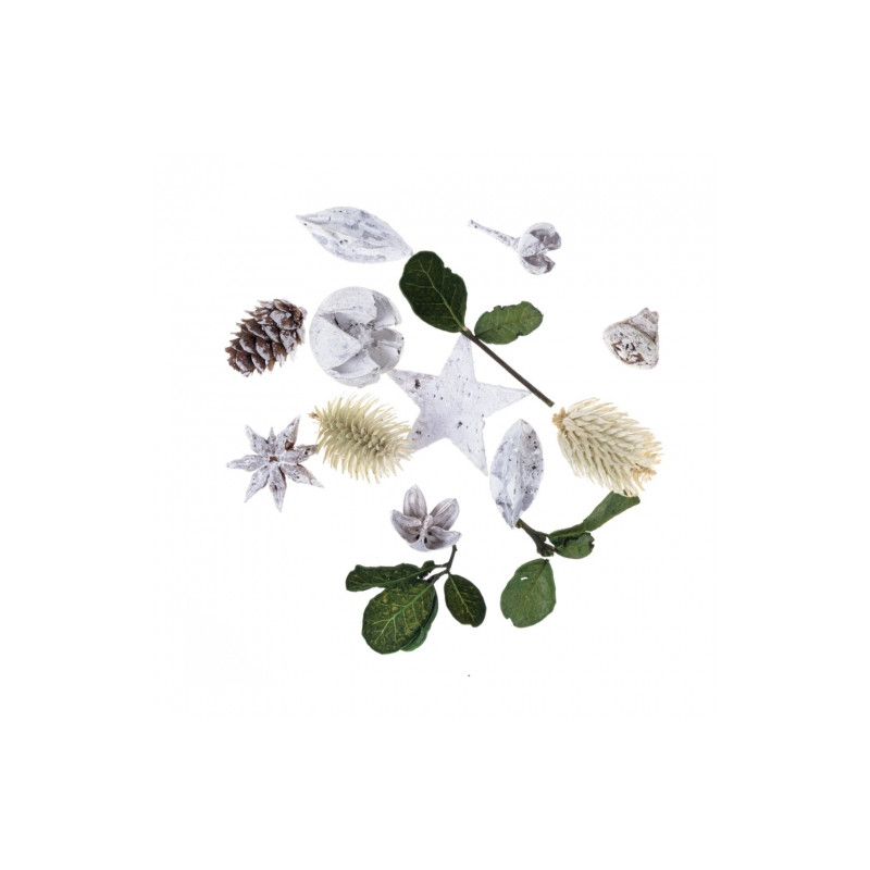 DP Craft dried decorative fruits and flowers 20g