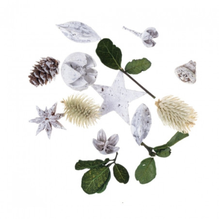 DP Craft dried decorative fruits and flowers 20g