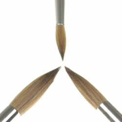 Kolibri natural round brushes series 90