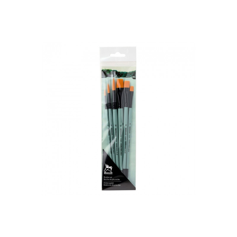 Renesans set of 6 different synthetic brushes 1006F, R