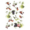 Rice decoupage paper fruit A4 ITD R100