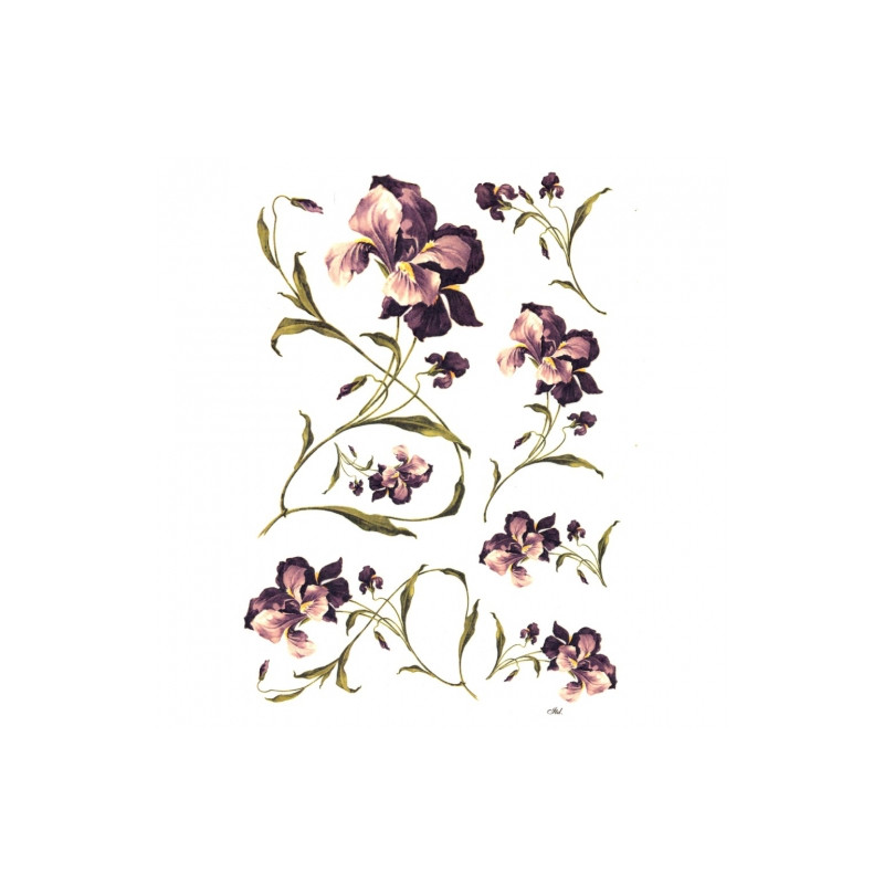 Rice decoupage paper irises flowers A4 ITD R244