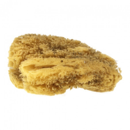 Kereso jumbo natural sponge 4-4.5mm- art store craze for plastics