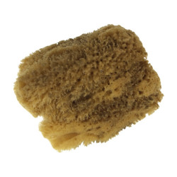 Kereso jumbo natural sponge 4-4.5mm- art store craze for plastics