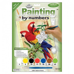 Paiting by numbers A4 7 colors- parrots and bamboo