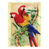 Paiting by numbers A4 7 colors- parrots and bamboo
