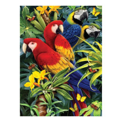 Royal&Langnickel Paiting by numbers A4 7 colors - parrots