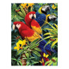 Royal&Langnickel Paiting by numbers A4 7 colors - parrots