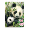 Royal&Langnickel Paiting by numbers A4 7 colors - panda and baby
