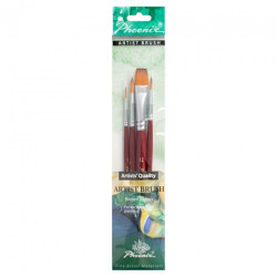 Phoenix set of 4 different synthetic short handle brushes