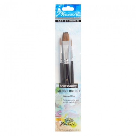 Phoenix set of 3 different natural short handle brushes