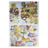 Decoupage paper 50x70cm calambour CAL066F mushrooms