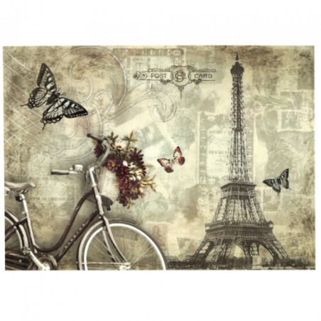Decoupage paper soft paris butterfly bike A4 ITD S271