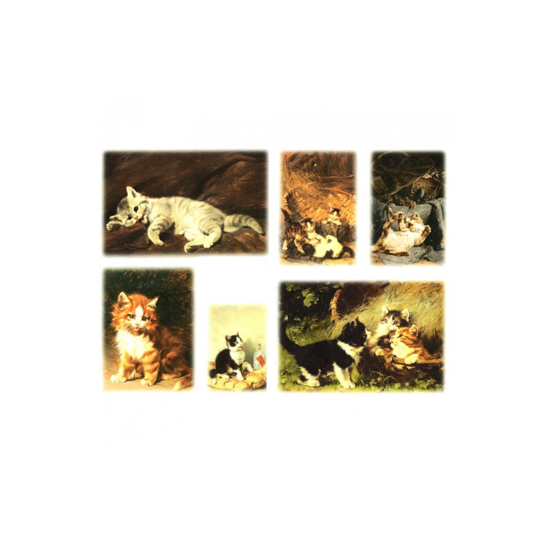 Decoupage paper A3 ITD 0288 cats
