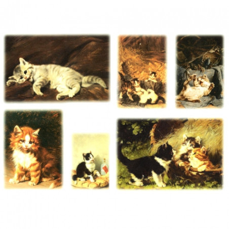 Papier do decoupage A3 ITD 0288 koty - sklep plastyczny szał dla plast