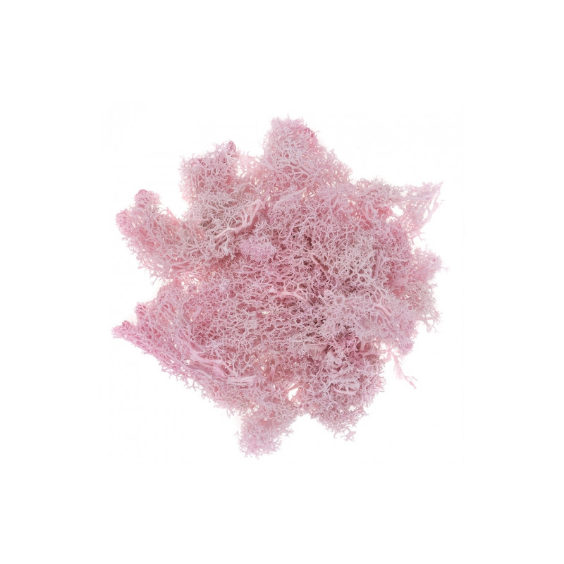 DP Craft moss 30g pink