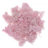 DP Craft moss 30g pink