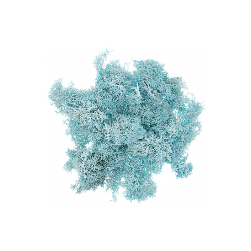 DP Craft moss 30g turquoise