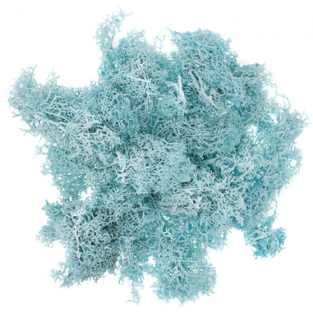 DP Craft moss 30g turquoise