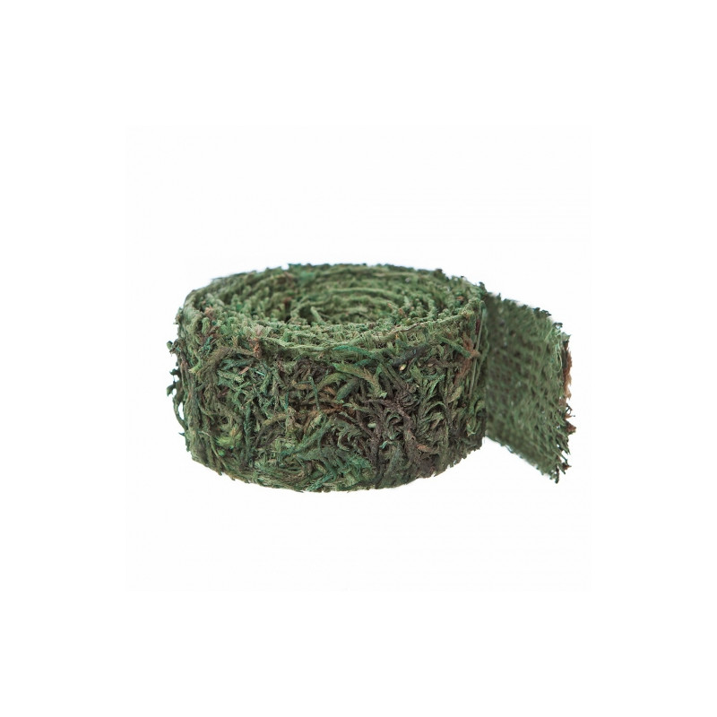 DP Craft moss ribbon 3,8x122 cm