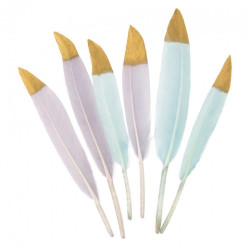 DP Craft decorative feathers grey and mint 6pcs