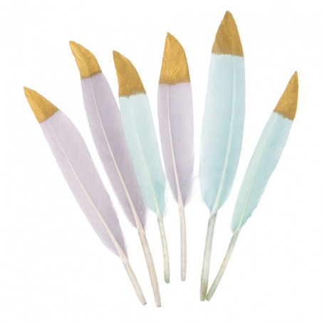 DP Craft decorative feathers grey and mint 6pcs