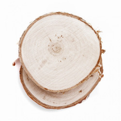 DP Craft wood slices 6-8mm 2szt
