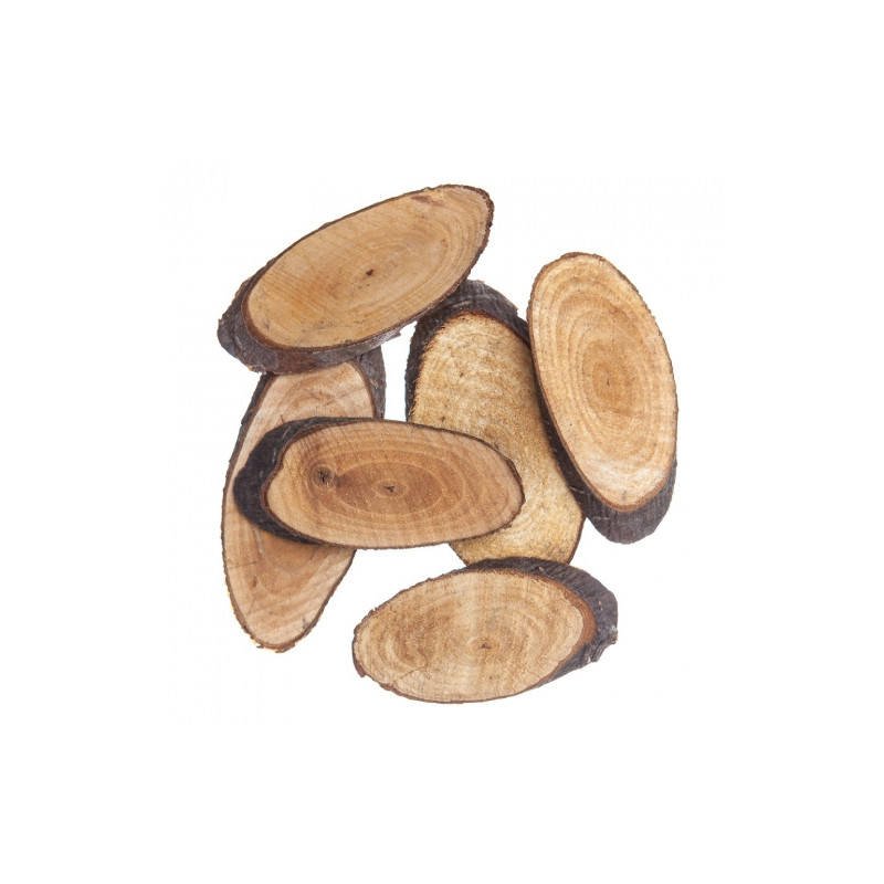 DP Craft wood slices 6pcs