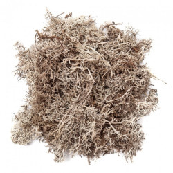 DP Craft mech bielony 30g- sklep plastyczny szał dla plastyków