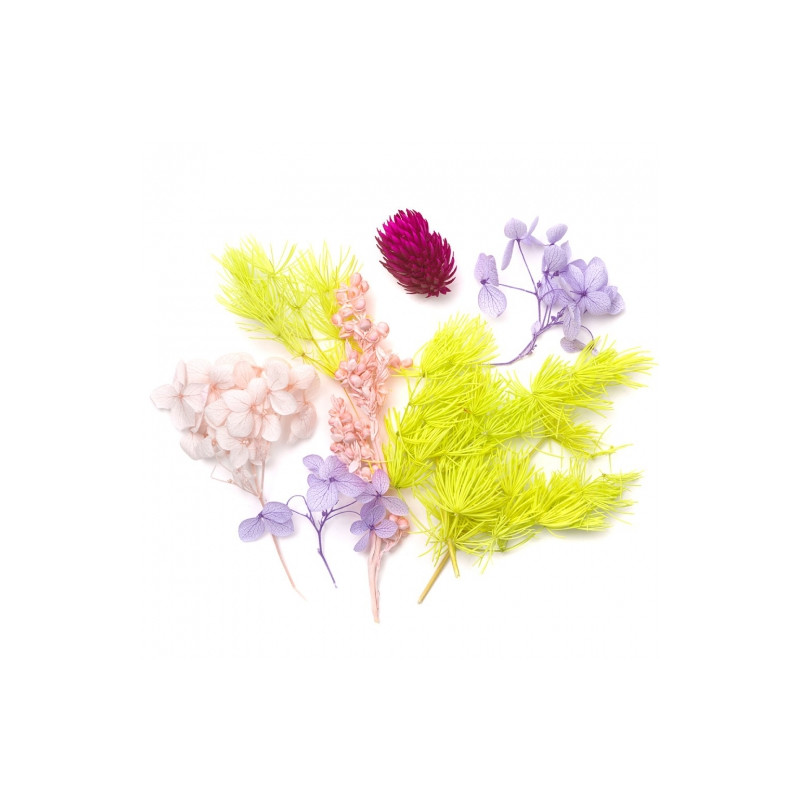 DP Craft suszone kwiaty dekoracyjne- sklep plastyczny szał dla plastyk