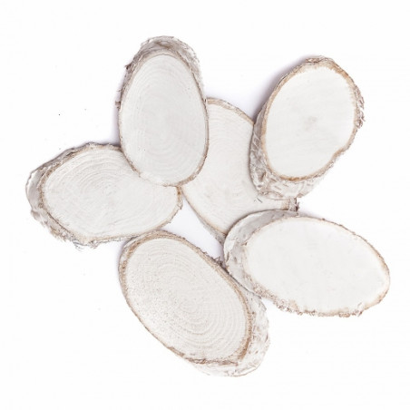 DP Craft wood slices white 5-8 cm 6szt