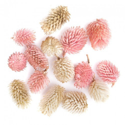 DP Craft sniffed decor fruits mix 14szt