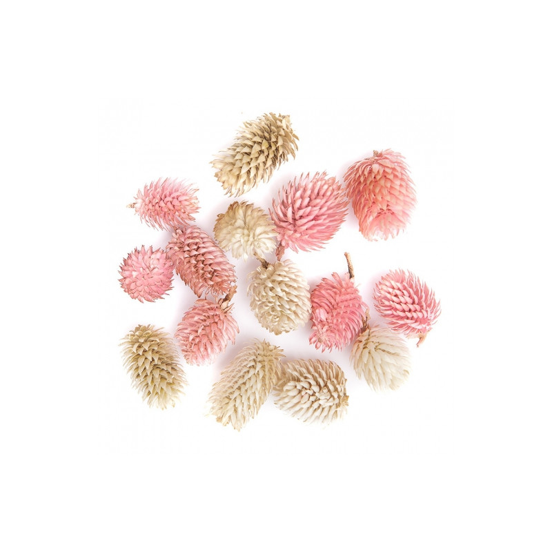 DP Craft sniffed decor fruits mix 14szt