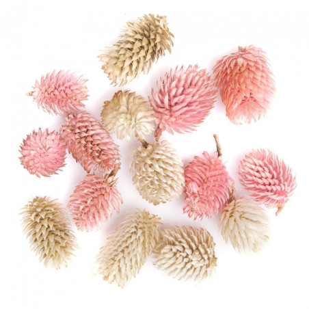 DP Craft sniffed decor fruits mix 14szt